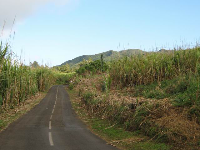 La très belle route Hubert Delisle