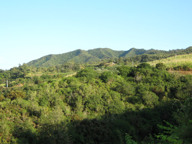 Les Hauts de l'Etang-Salé et le Piton Calebasse