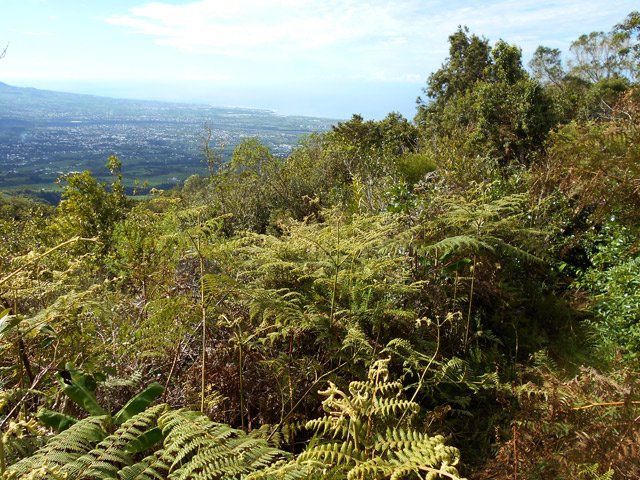 Au loin, Saint-Louis et Saint-Pierre