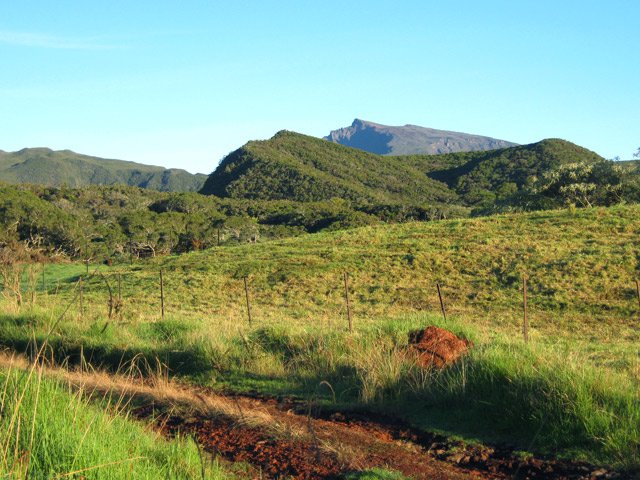 Vue sur le Piton des Neiges depuis les prairies