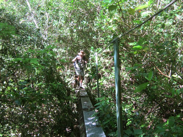 Passerelle sur tuyau