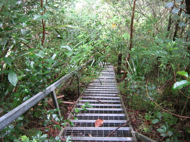 Le très long escalier menant à la case