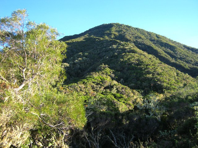 Encore plus près du Piton Bleu