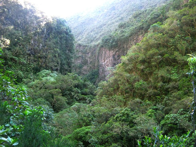 La vallée du Bras de Sainte-Suzanne