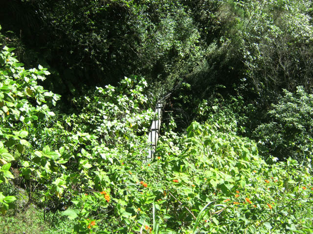 Une des multiples passerelles sur les ravines