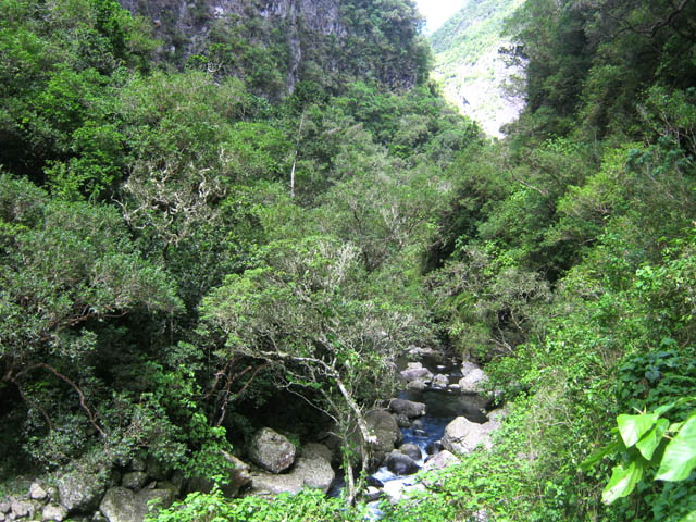 Une vue sur l'aval du Bras de Sainte-Suzanne