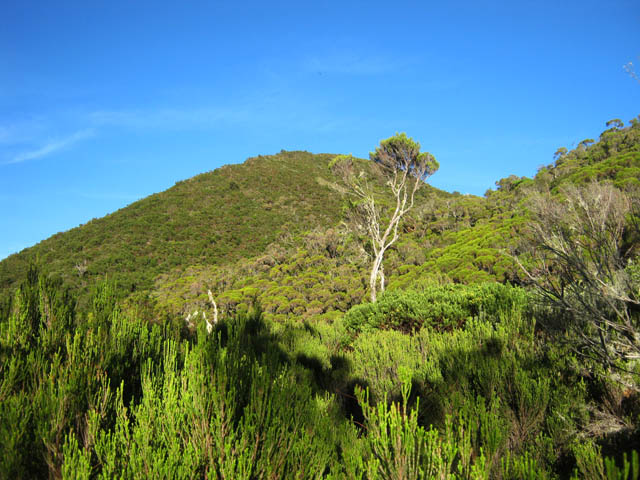 Le sentier passe au pied du Piton Bleu