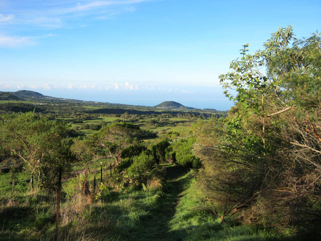 Une des plus belles vues sur la Plaine des Cafres