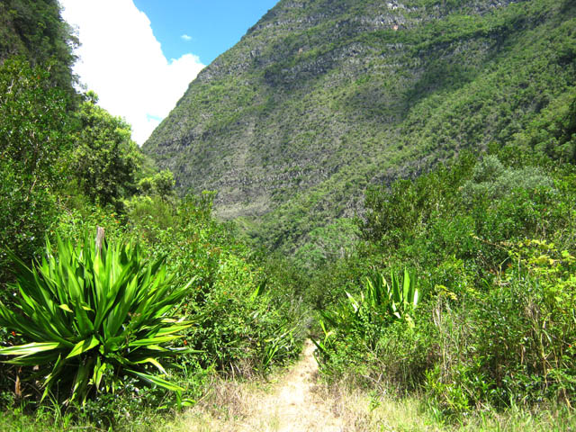 le sentier qui monte en rive droite, encore très praticable