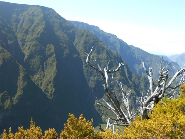 La vallée de la Rivière des Remparts