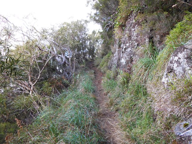 Un agréable tronçon proche d'une zone rocheuse