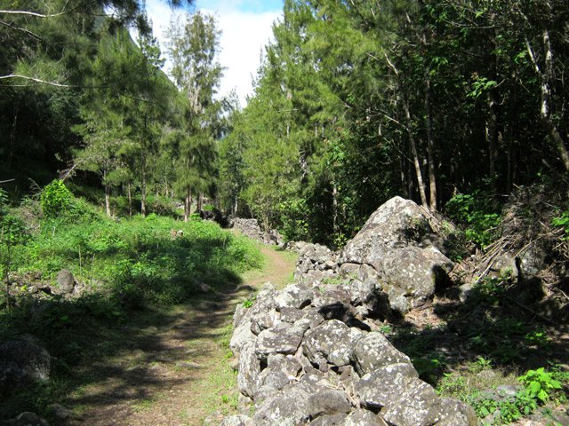 Le beau sentier à l'approche de Roche Plate