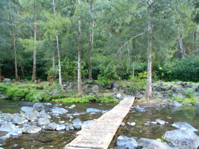 La passerelle en rondins au-dessus de la Grande Ravine