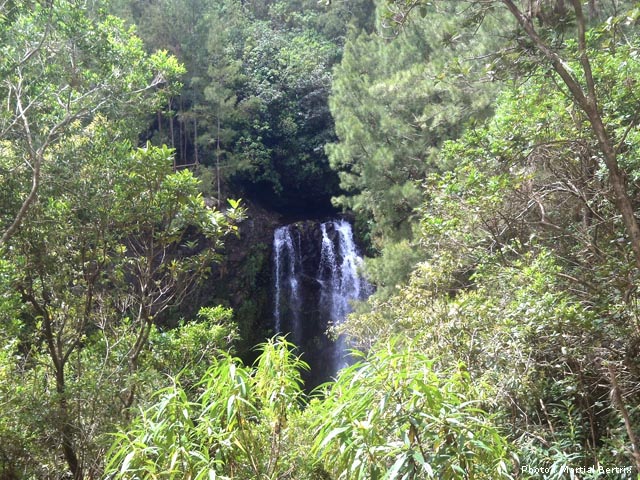 La végétation bouchera bientôt le point de vue sur la Cascade la Fouillée