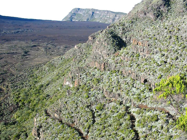 Le sentier emprunté pour la montée à l'Oratoire Sainte-Thérèse