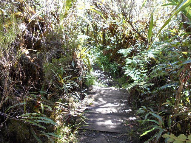 Nouveau plancher pour isoler de la gadoue