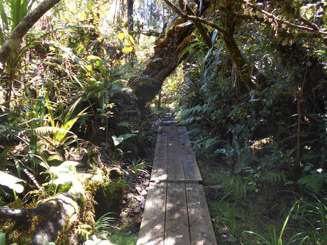 Un plancher tout neuf qui noircira très vite