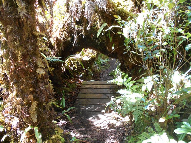 Il faudra se baisser pour ne pas se cogner