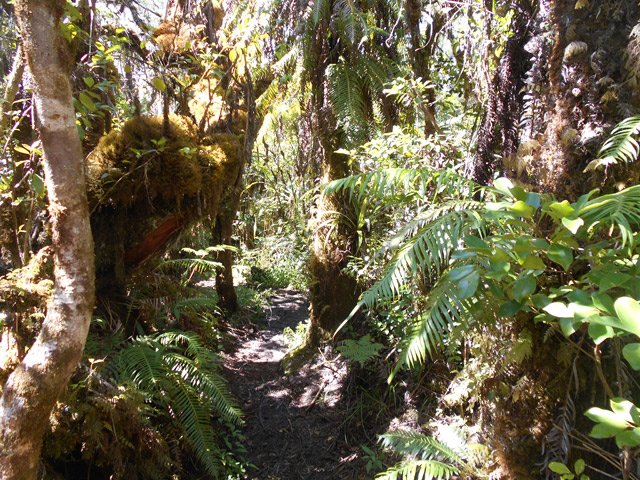 Sentier très bien marqué, facile à suivre