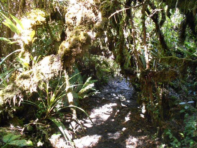 Nouvelle portion assez boueuse