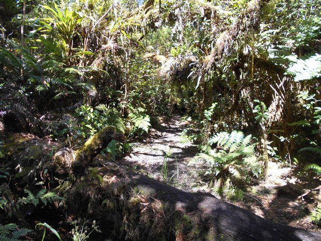 Cet endroit est un peu fouillis sur 20 mètres