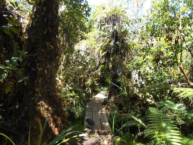 Encore un plancher neuf. L'ONF pense aux randonneurs