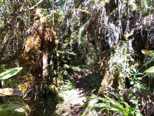 Bientôt la fin du sentier