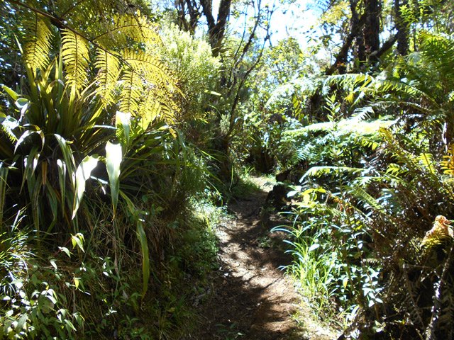 Une idée du sentier au début du parcours