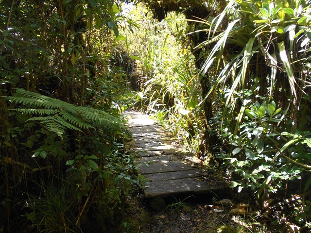 Les premiers planchers pour éviter les parties boueuses