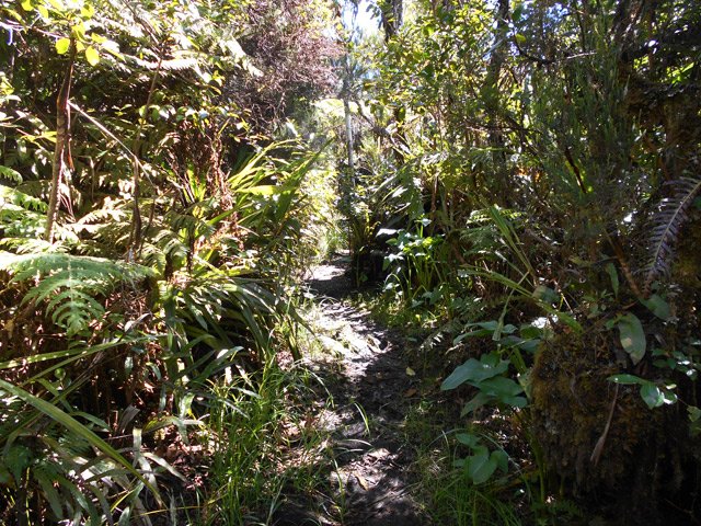 Le sentier est ici étroit et boueux