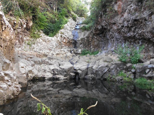 Un bassin et sa petite cascade près du radier avant les cannes