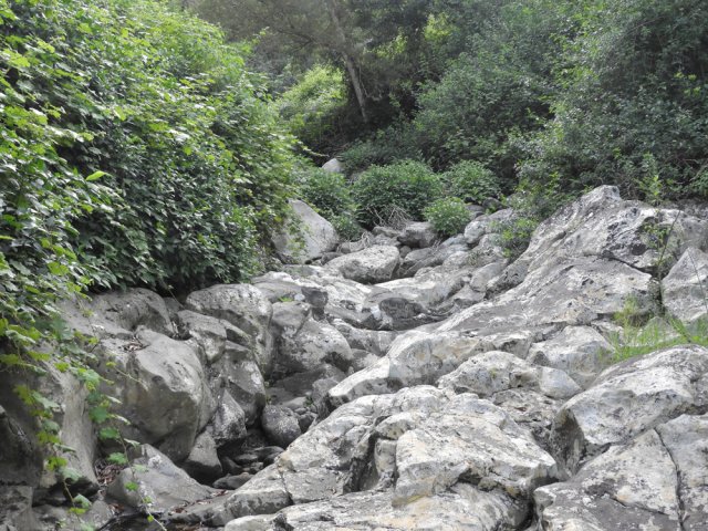 Pas de galets mais de longues coulées basaltiques