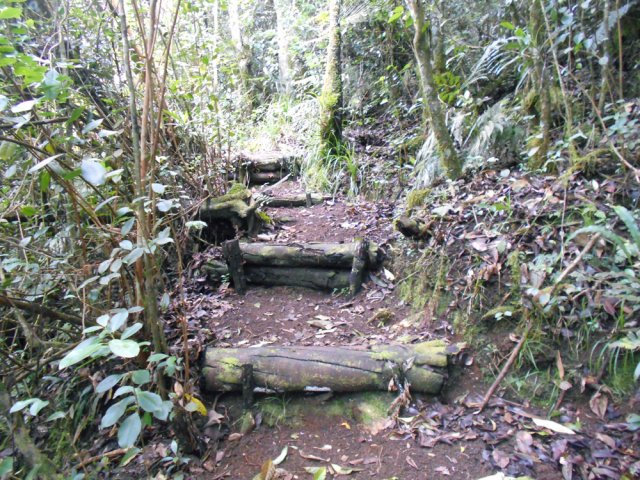 Le sentier, très bien nettoyé par l'association