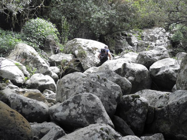 Nouvelle remontée de ravine dans les petits cailloux !