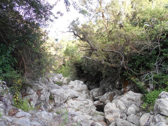 La végétation prête à envahir la ravine