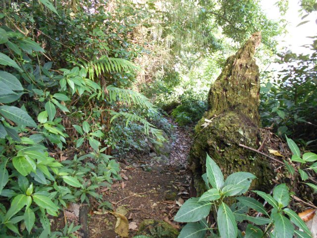 Le sentier est impossible à perdre jusqu'à la fin de ce circuit