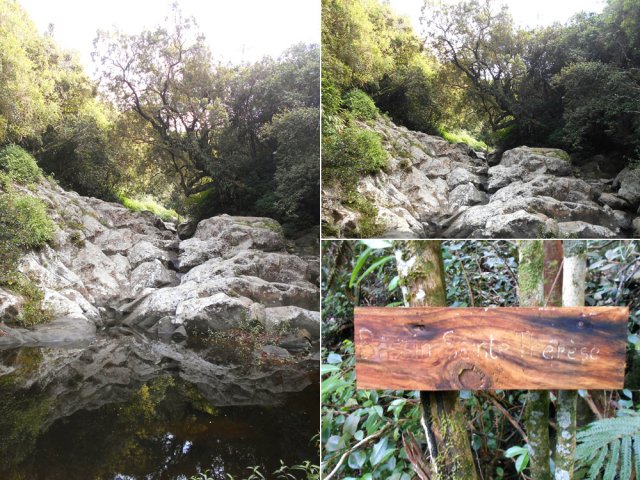 Le beau petit bassin en aval du Bassin Sainte-Thérèse