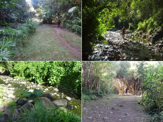 Sentier toujours en bon état le long de la ravine jusqu'au Bassin Sassa