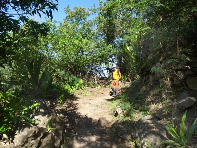 Le Sentier Charles Payet menant au Pont de la Liane comporte de multiples lacets