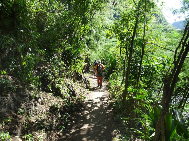La dernière ligne droite avant de parvenir au pont