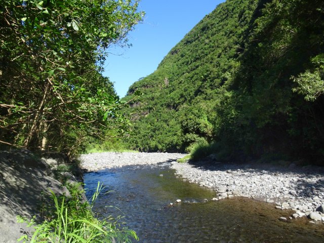 Apprécier le fond de la rivière depuis le pied du pont