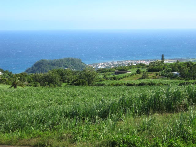 Plusieurs panoramas possibles sur Saint-Joseph et le Piton Babet