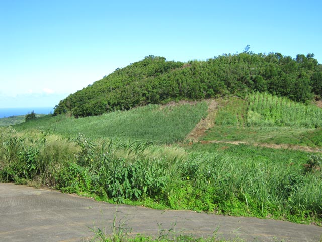 On peut contourner le Piton la Mare dans les deux sens et atteindre le sommet