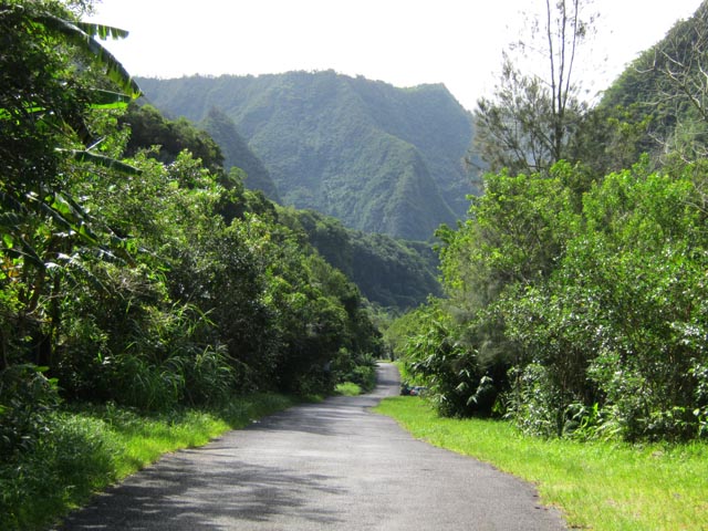 Les derniers hectomètres avant la montée du Bérénice