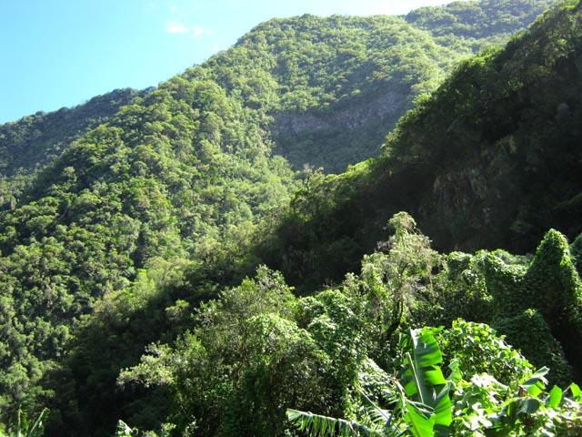 C'est là-haut qu'on marchera dans une heure