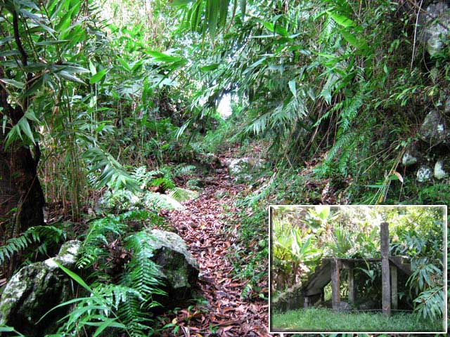 Le premier sentier qui débute à la ruine d'escalier