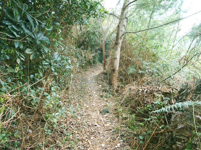 Une autre portion du sentier de bord vers le Grand Serré