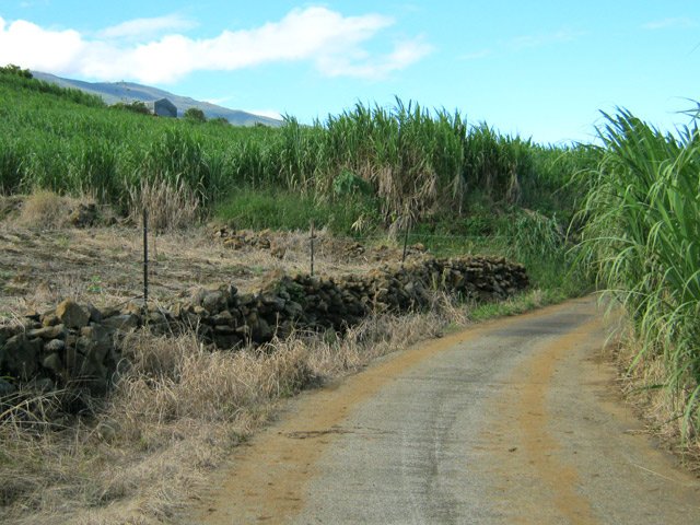 On emprunte également des portions de route quand les pistes finissent en plein champ