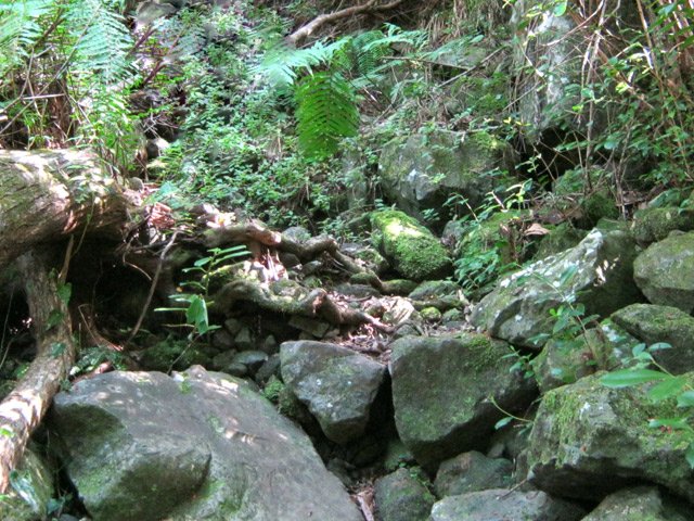 Une partie très caillouteuse du sentier Bérénice en début de montée