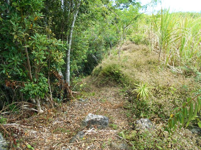 Le sentier entre les cannes et les bois de couleurs du rempart